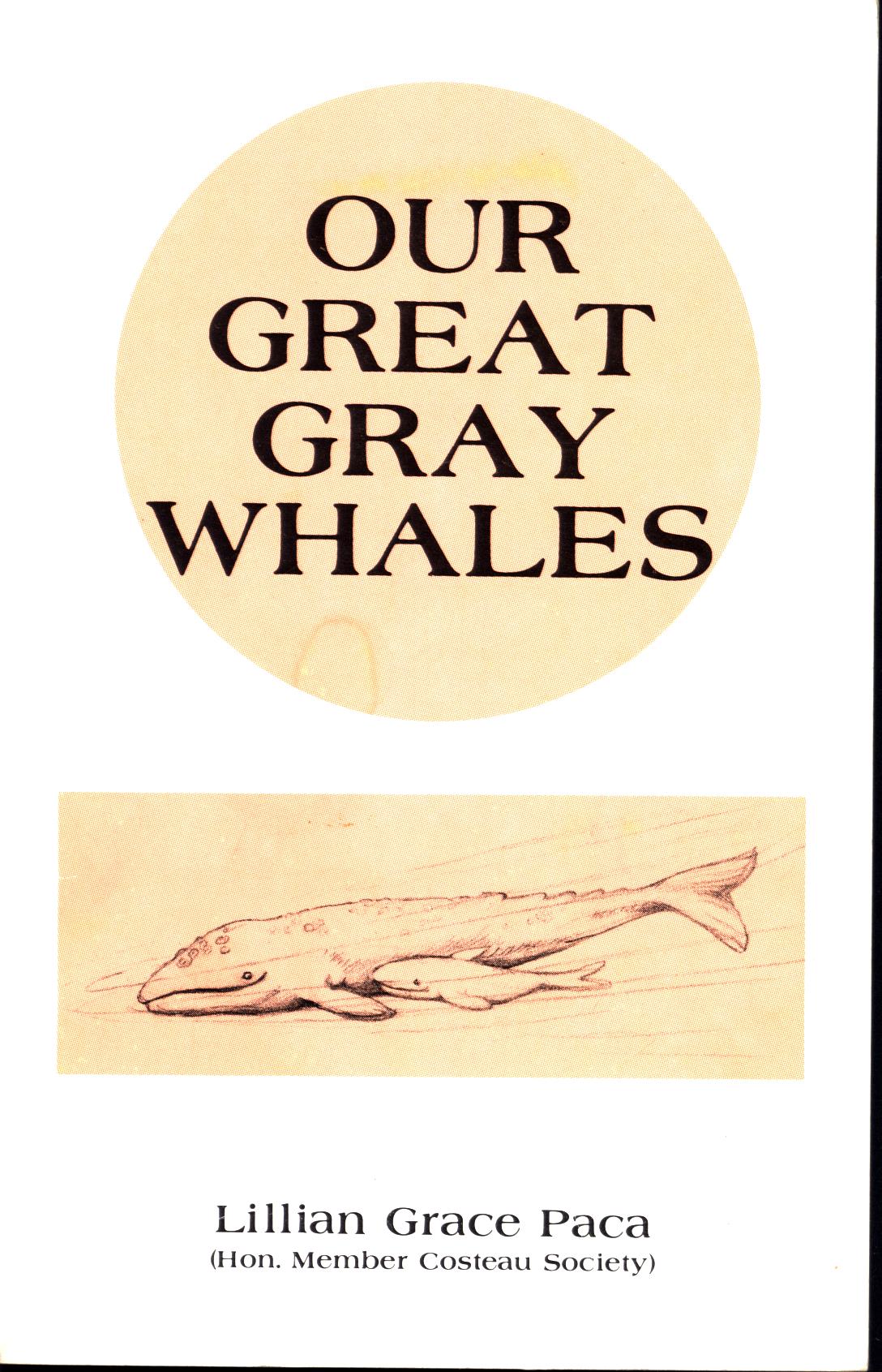 OUR GREAT GRAY WHALES. 